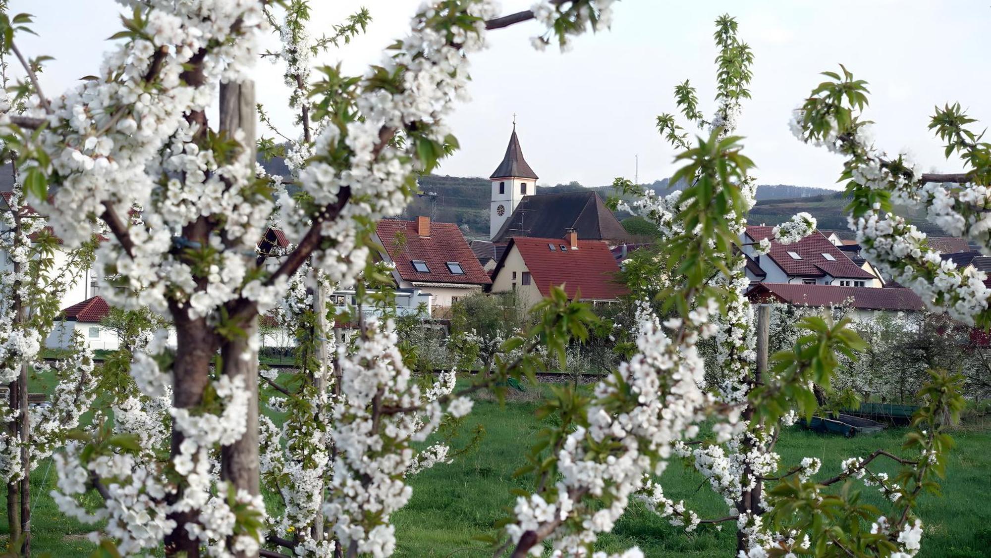 Ferienwohnung Fliegerhorst Endingen am Kaiserstuhl Bagian luar foto