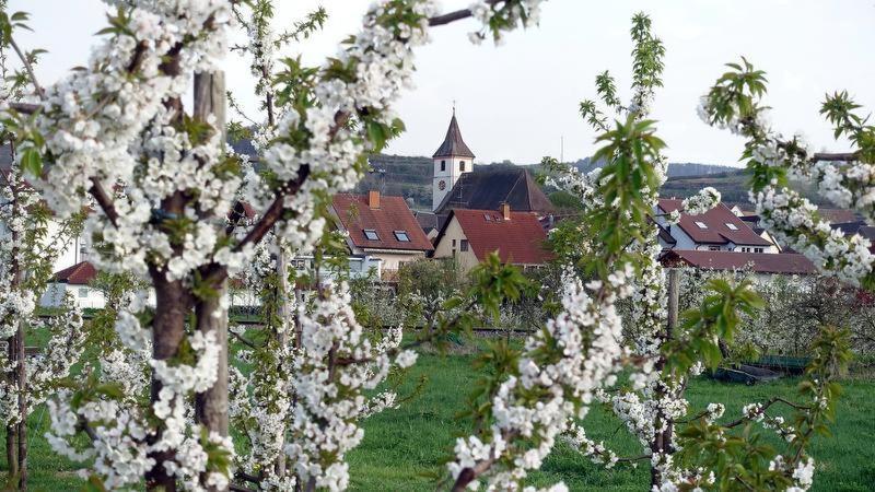 Ferienwohnung Fliegerhorst Endingen am Kaiserstuhl Bagian luar foto